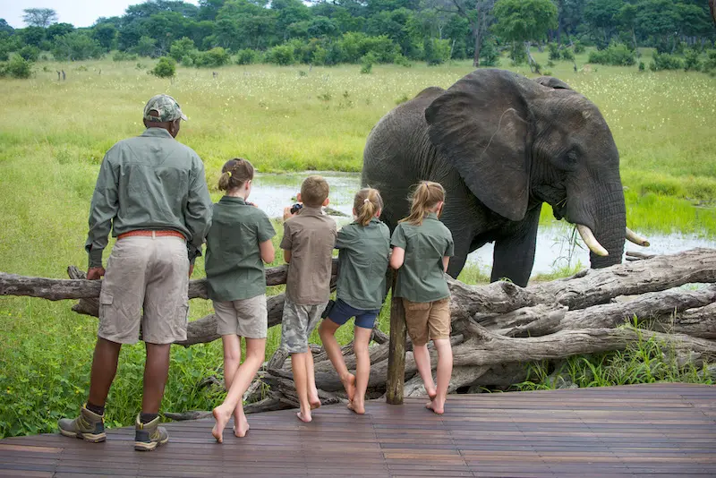 elephant safari guide